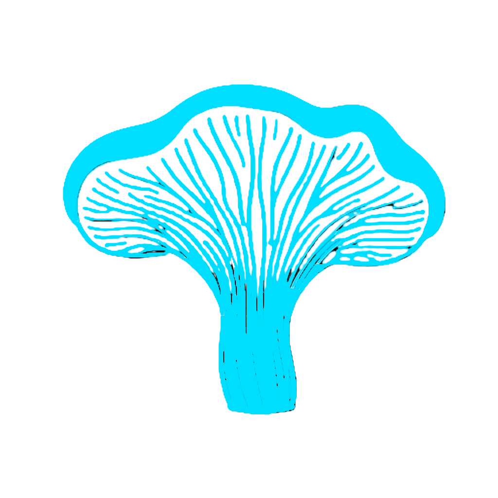 Logo 5